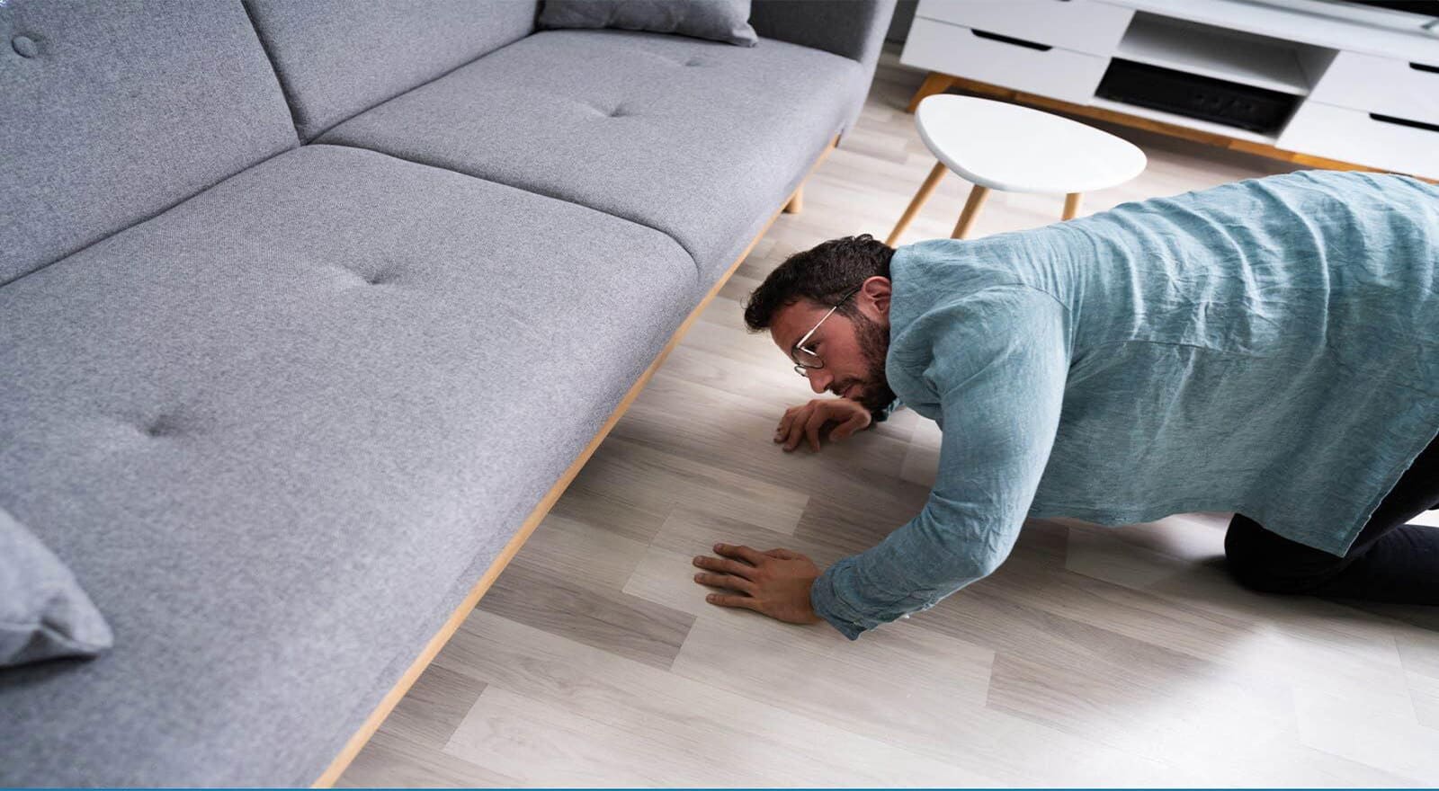 Si hay una Cucaracha hay más